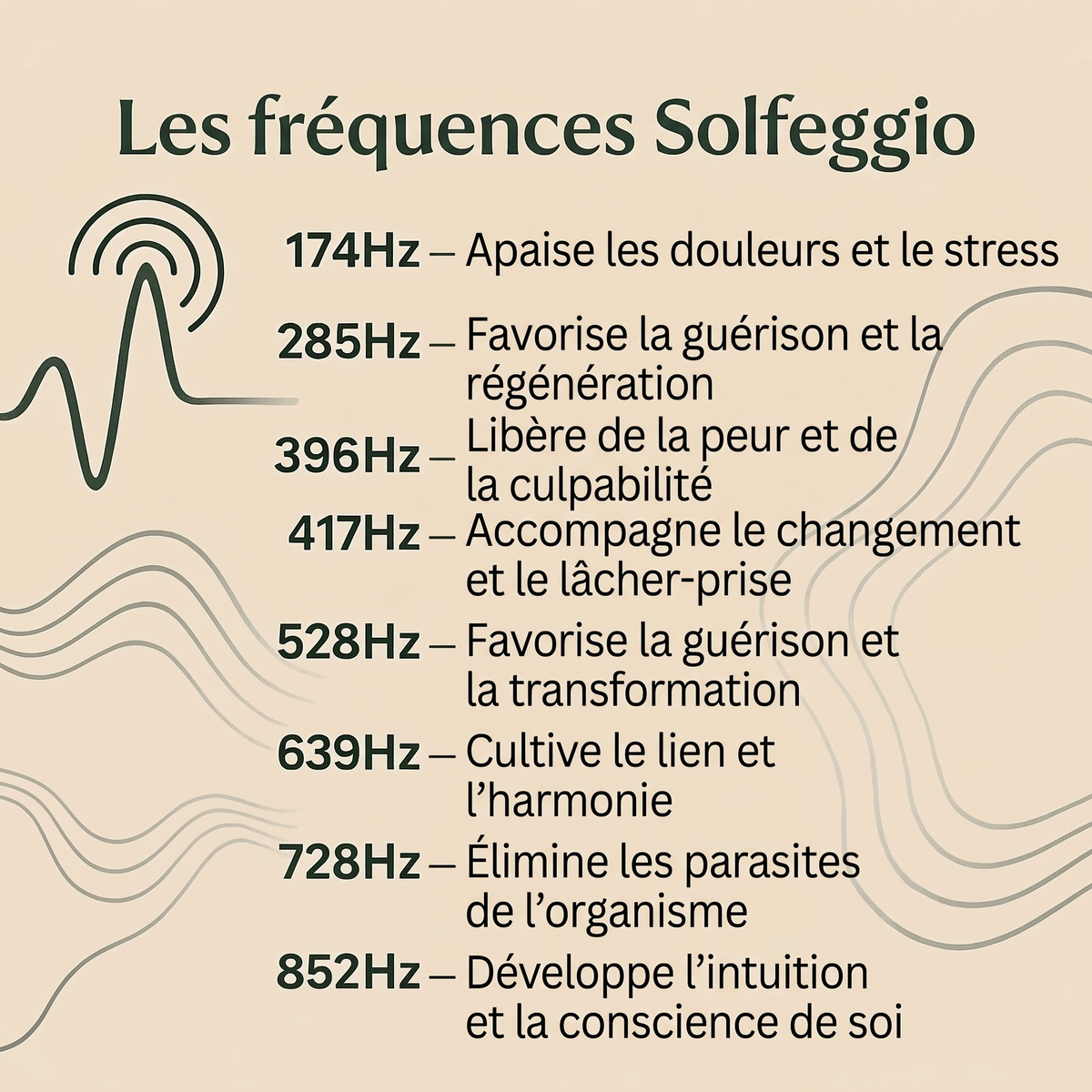 Générateur Evadaya — visuel 8