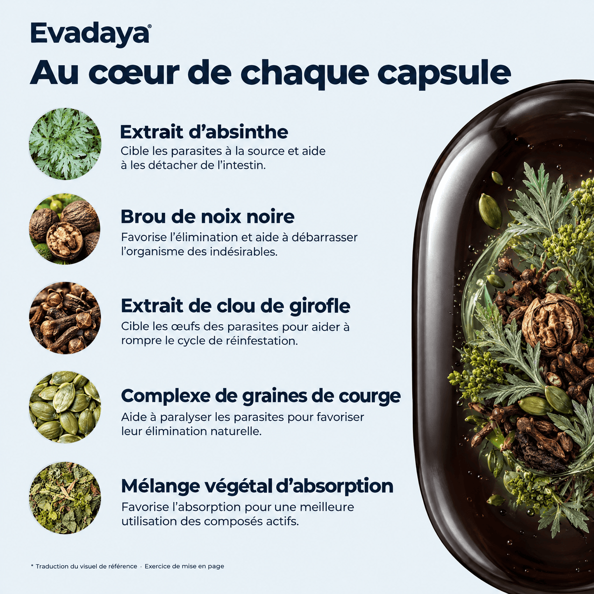 Complexe 18 — Absinthe, Noyer noir & Girofle